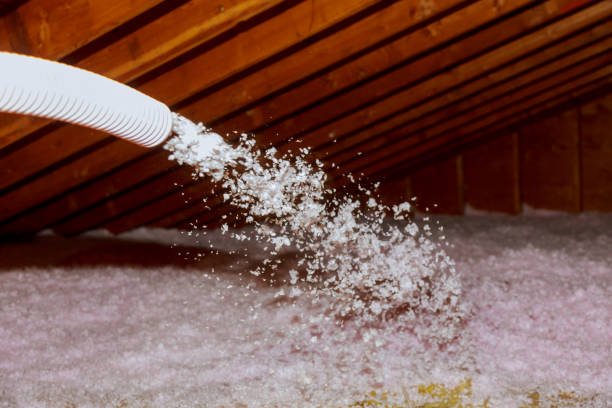 Best Energy Efficiency Solutions in North Charleroi, PA